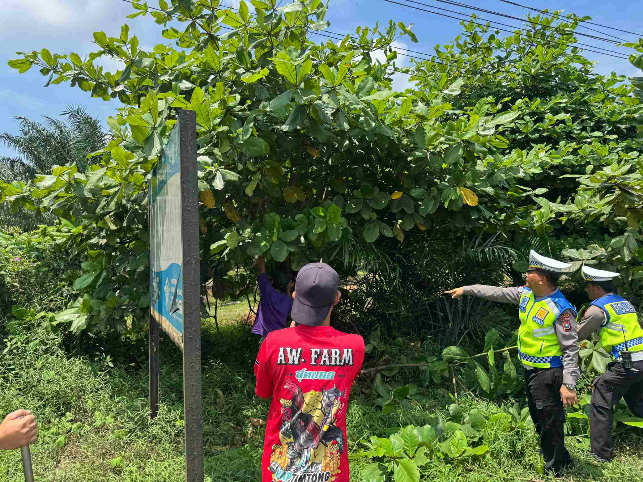 Pastikan Terlihat Jelas, Satlantas Polres Batu Bara Pangkas Ranting yang Halangi Rambu   