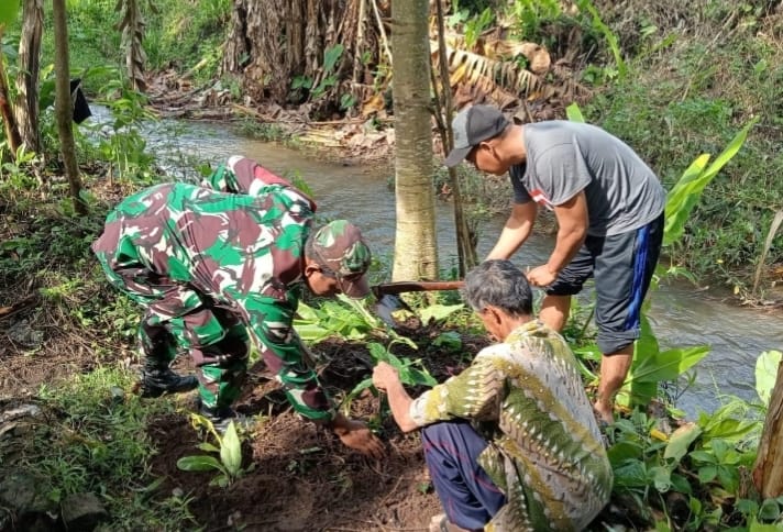 Lestarikan Lingkungan, Serda Budiono Bersama Poktan Sidodadi Tanam Pohon Melalui Aksi Bersatu Dengan Alam