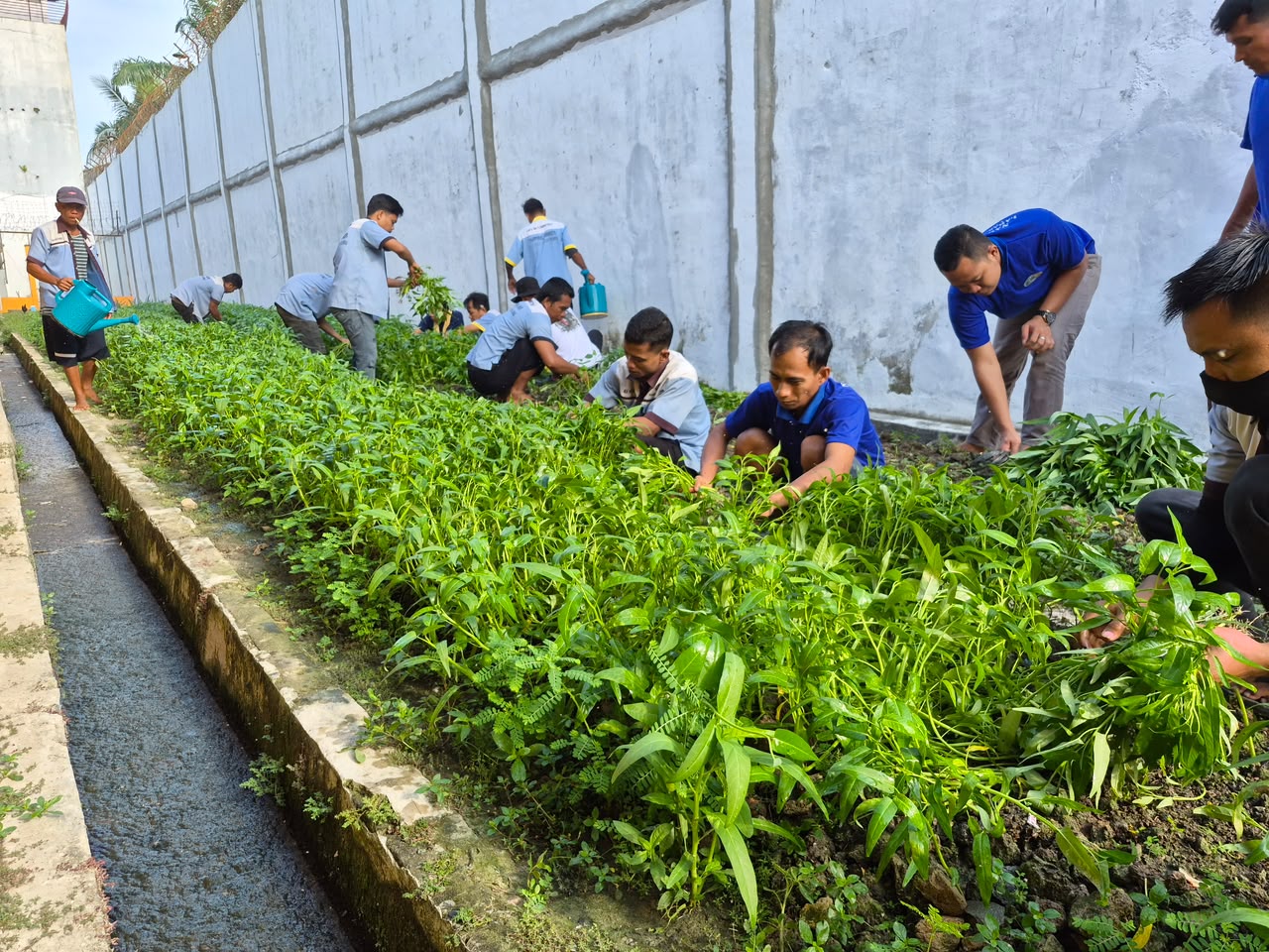 DUKUNG KETAHANAN PANGAN, WARGA BINAAN LAPAS LABUHAN RUKU PANEN 150 KILOGRAM KANGKUNG HASIL PROGRAM PEMBINAAN KEMANDIRIAN   