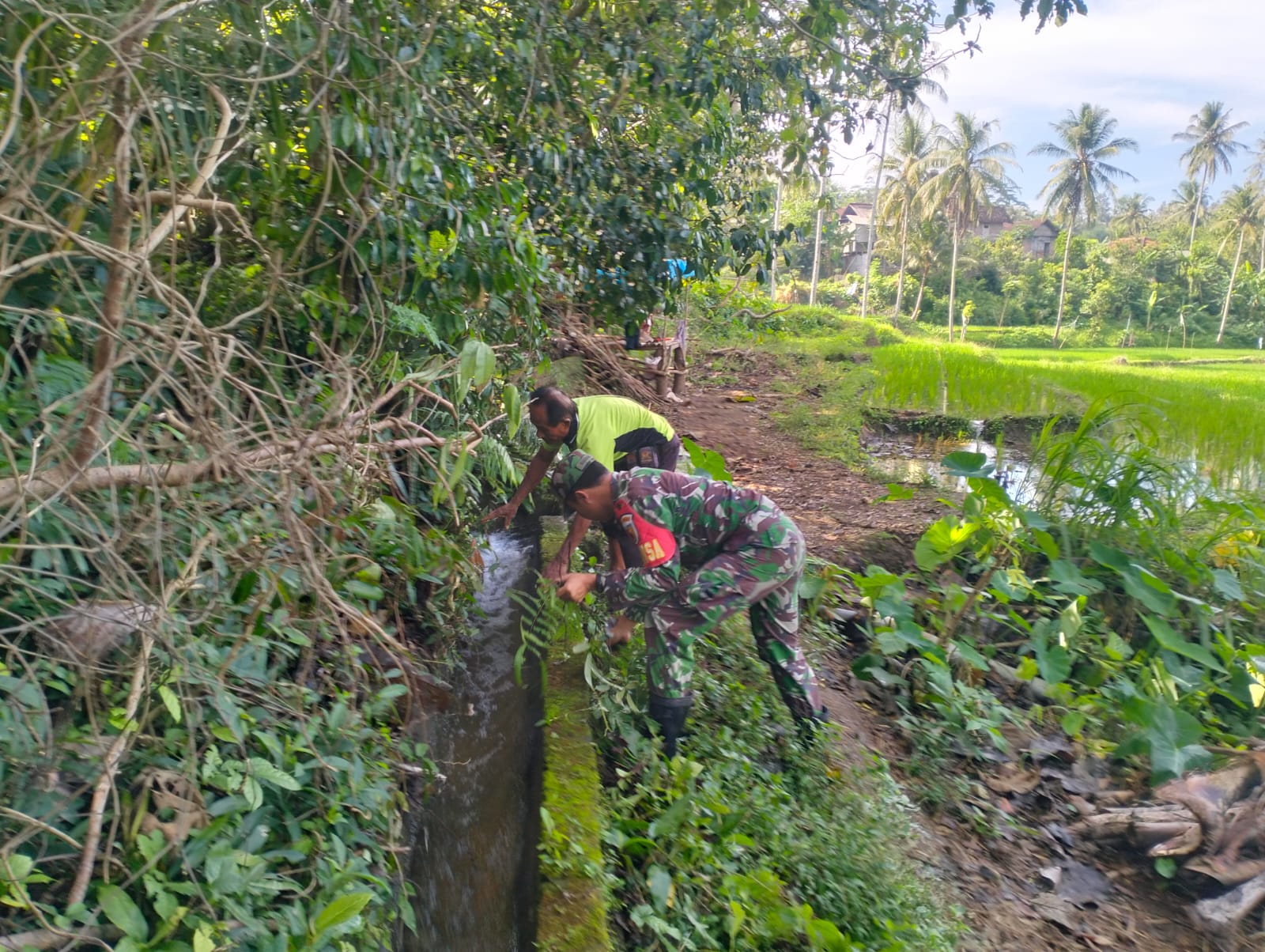 TNI Manunggal Air, Serka Imam Sungep Bersama Warga Kedung Banteng Gotong Royong Bersihkan Irigasi   