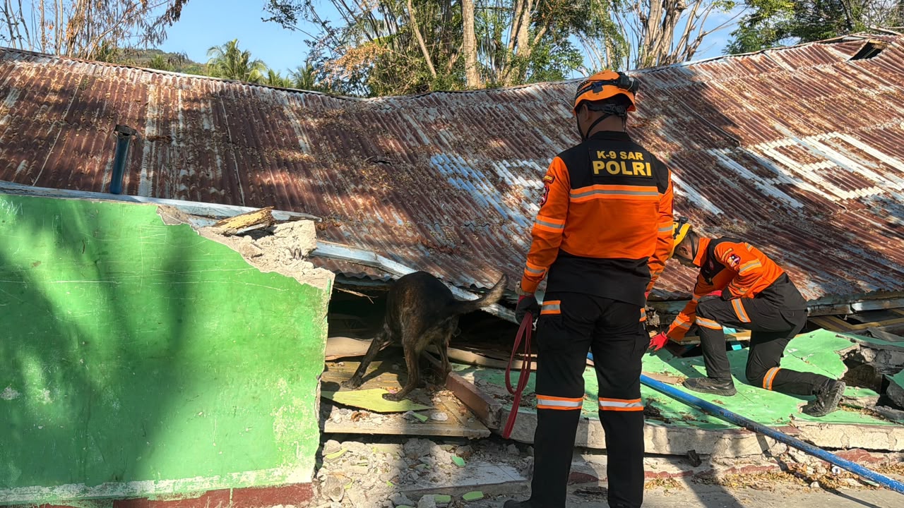 Tim K-9 SAR Ditpolsatwa Korpsabhara Baharkam Polri Sisir Lokasi Terdampak di Manggarai NTT, Pastikan Sterilisasi dan Keselamatan Satwa