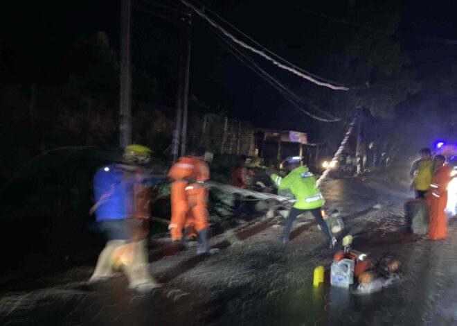 Evakuasi Pohon Tumbang di Jalan Medan, Sat Lantas Pematangsiantar Atur Lalu Lintas — Arus Berjalan Aman & Lancar   