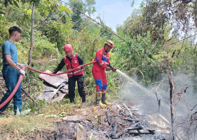 Aksi Cepat Tanggap Padamkan Karhutla, Tim Respon Bencana Batalyon A Pelopor Jinakkan Api di Hutan Kota Balikpapan   