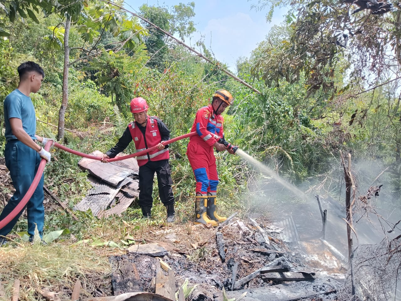 Aksi Cepat Tanggap Padamkan Karhutla, Tim Respon Bencana Batalyon A Pelopor Jinakkan Api di Hutan Kota Balikpapan   