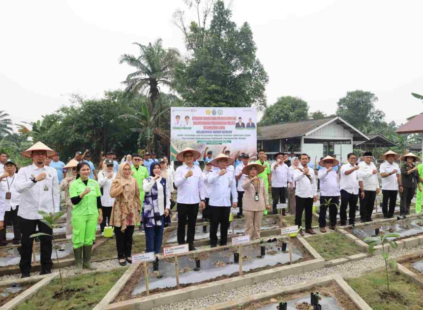 Wakil Wali Kota Tanjungbalai Bersama Ketua TP-PKK Hadiri Launching Kampus Mandiri Pangan dan Gerakan Tanam Serentak Cabai Se Sumut di Polbangtan Kementan Medan