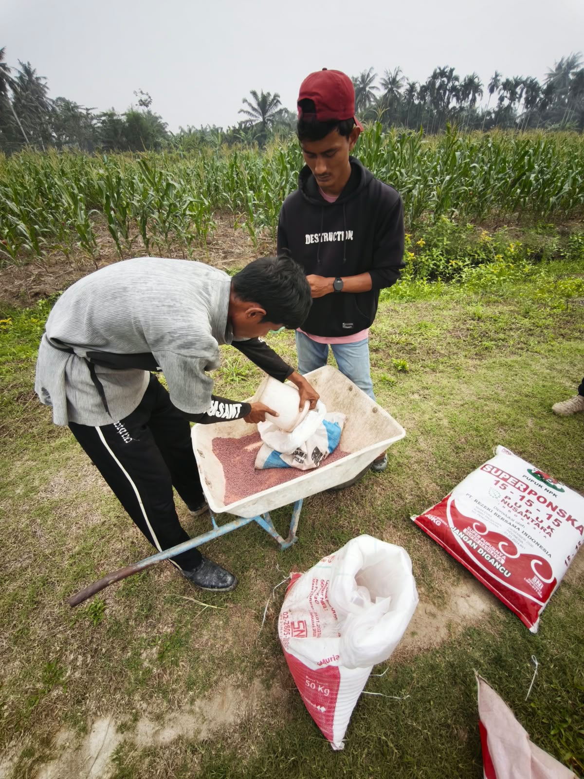 OPTIMALKAN KESEHATAN TANAMAN, LAPAS LABUHAN RUKU LAKSANAKAN PEMUPUKAN PHONSKA DAN KCL PADA TANAMAN JAGUNG DI SAE AIR JOMAN   