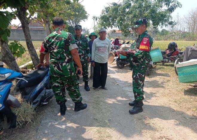 Ketahanan Pangan Jadi Perhatian, Babinsa Ngrampal Sisir Potensi Desa Pilangsari   