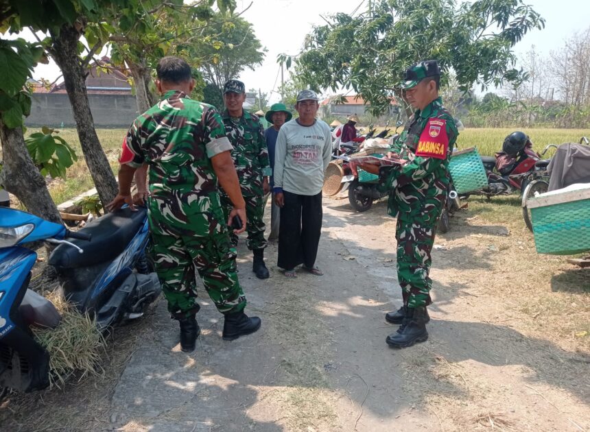 Ketahanan Pangan Jadi Perhatian, Babinsa Ngrampal Sisir Potensi Desa Pilangsari   