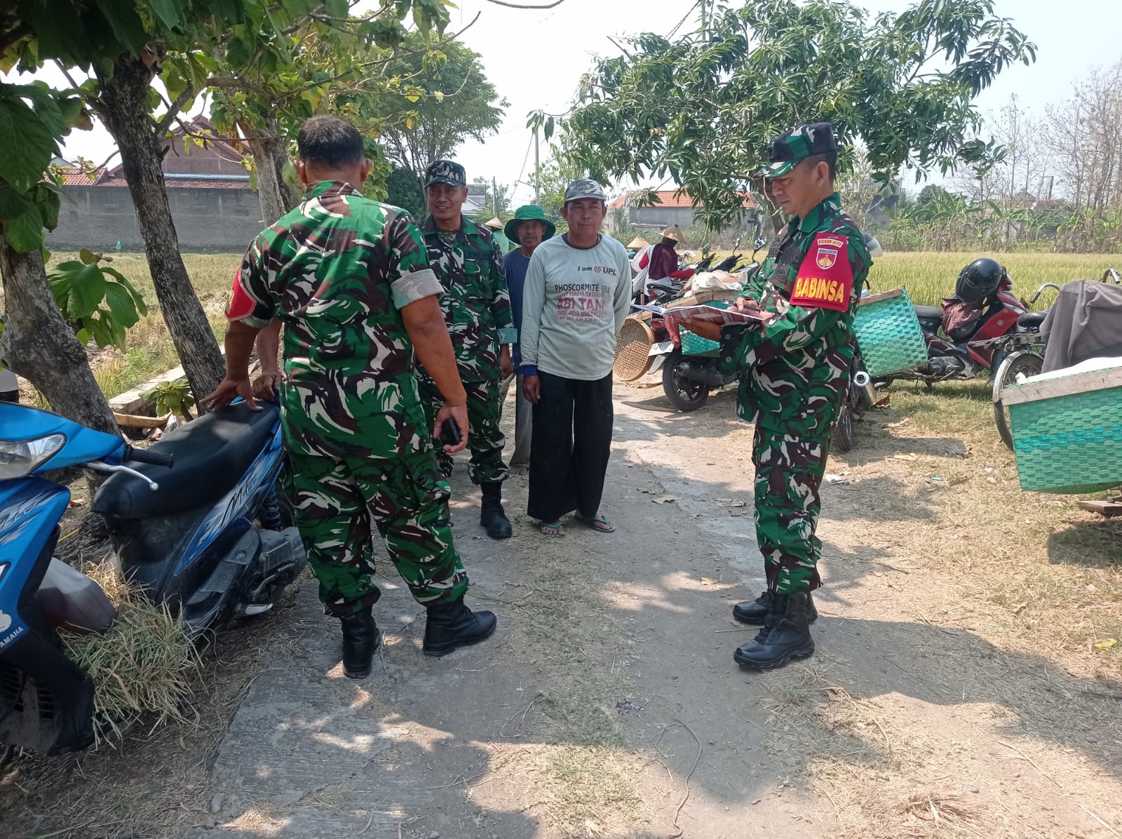 Ketahanan Pangan Jadi Perhatian, Babinsa Ngrampal Sisir Potensi Desa Pilangsari   
