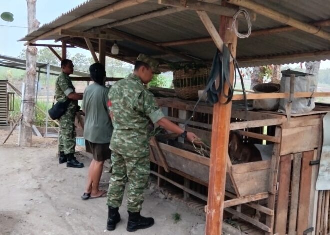 Jaga Lingkungan Tetap Asri, Babinsa Ingatkan Peternak Kambing Antisipasi Bau Kandang   