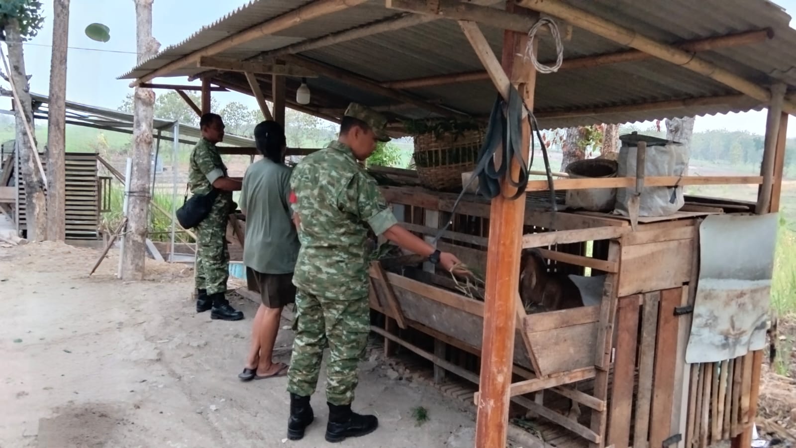 Jaga Lingkungan Tetap Asri, Babinsa Ingatkan Peternak Kambing Antisipasi Bau Kandang   