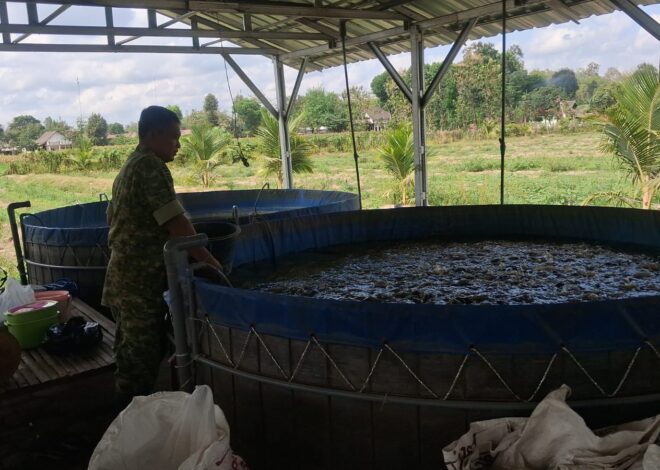 Kodim 0808/Blitar Optimalkan Program Ketahanan Pangan Melalui Sistem Pertanian Terpadu Di Srengat   