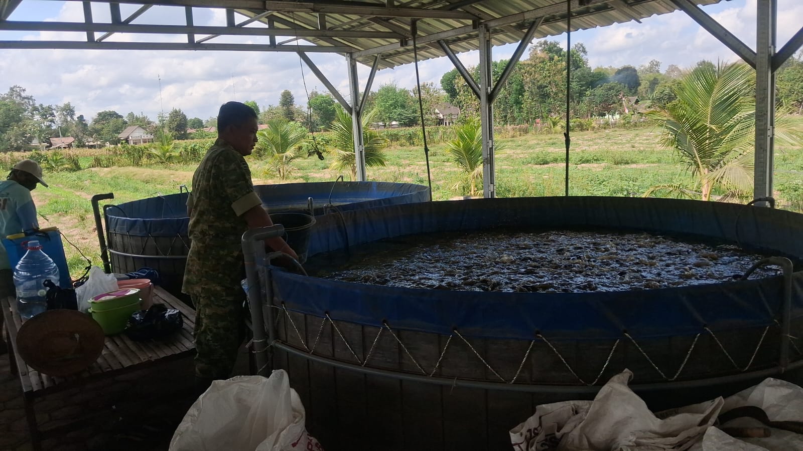 Kodim 0808/Blitar Optimalkan Program Ketahanan Pangan Melalui Sistem Pertanian Terpadu Di Srengat   